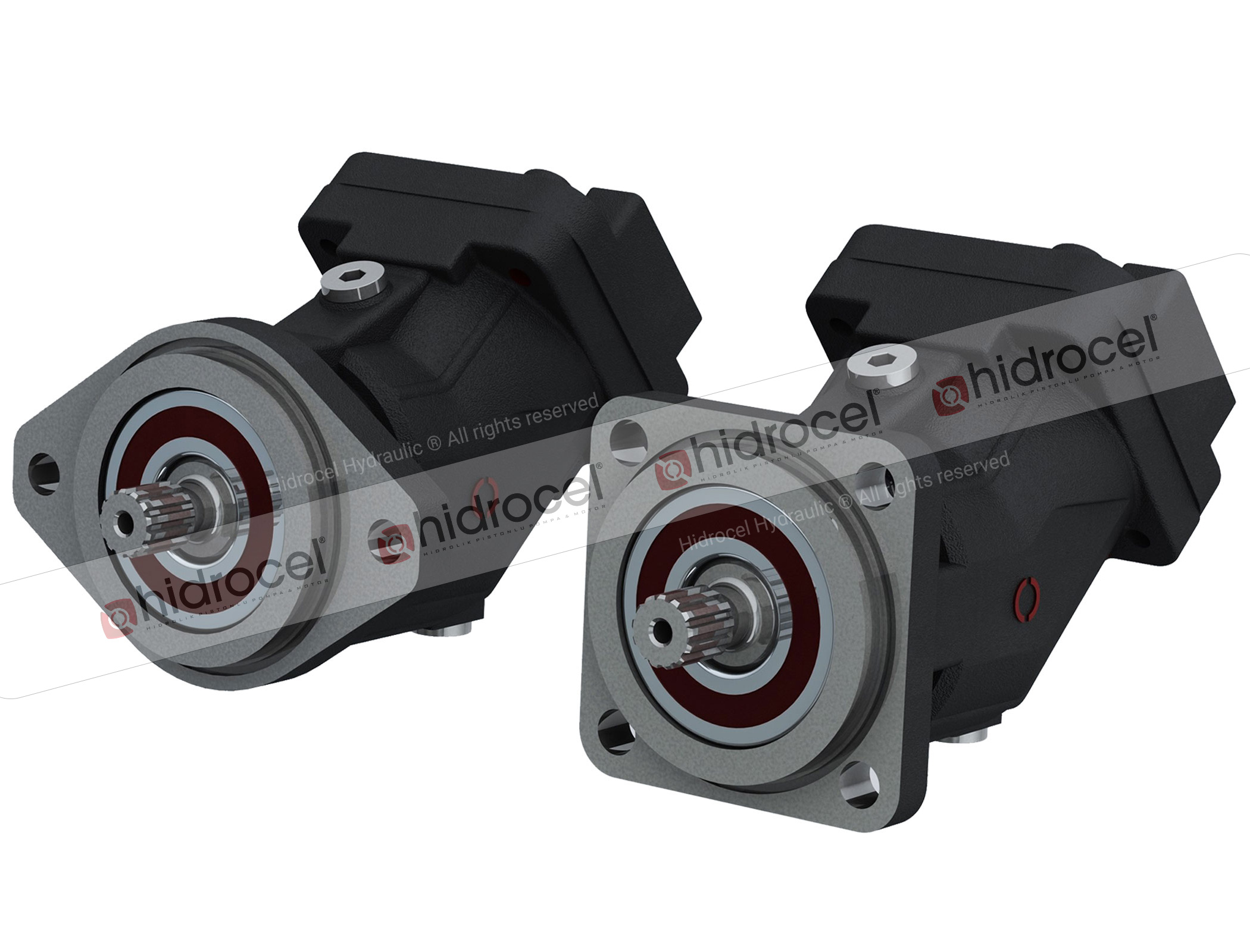 C-2PE 18 cc Hydraulic Piston Pump