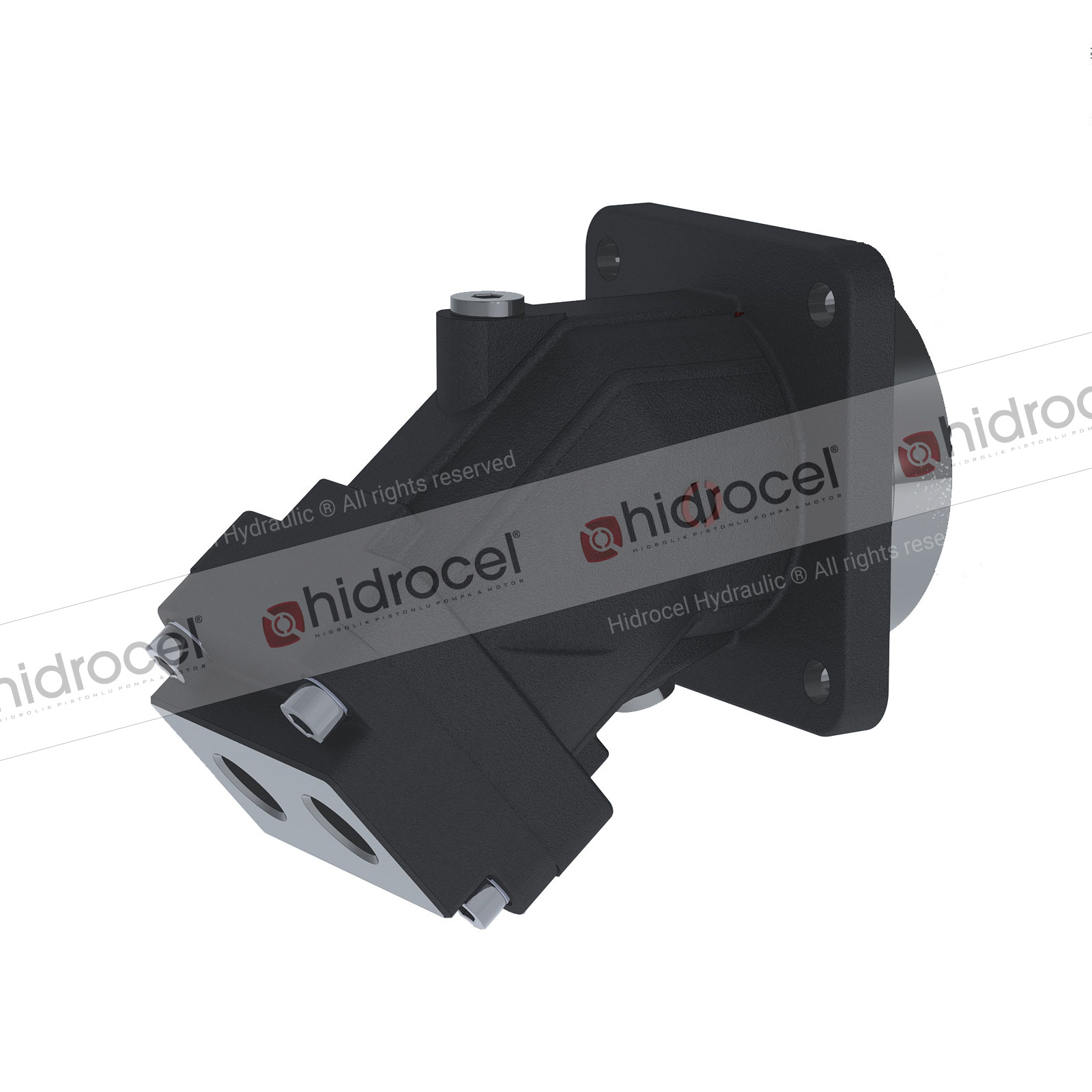 C-2PM 25 cc Hydraulic Piston Motors